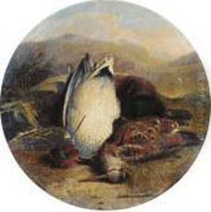 The Day's Bag by Abel Hold