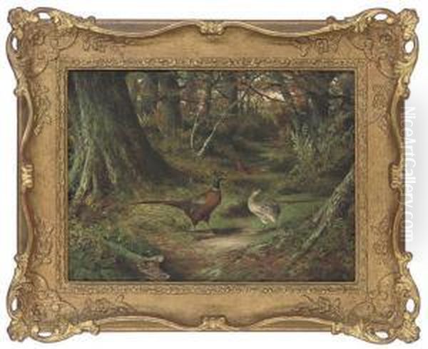 A Trail Through The Woods - view 1