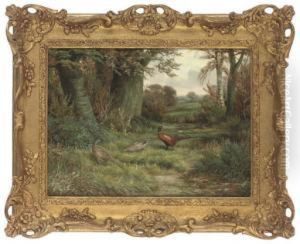 A Cock And Two Hen Pheasants In A Wooded Landscape