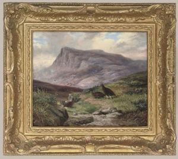 Grouse In A Highland Landscape - view 1