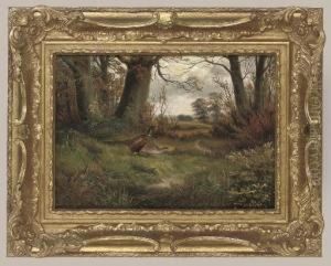 Pheasants By A Woodland Track