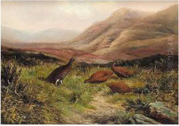 Signed - view 1