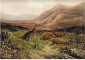 Signed by Benjamin, Ben Hold