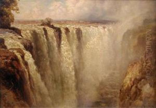 View Of The Victoria Falls - view 1