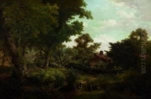 Bauernkate Im Wald