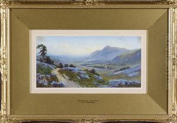 Heathertime, Shap Fells - view 1