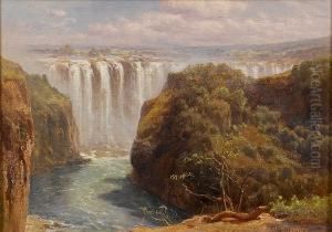 The Gorge And Palm Grove, Victoria Falls