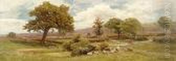 Sheep And Cattle Grazing In A Landscape - view 1