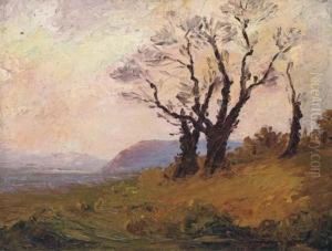 Arbres Dans Le Vent