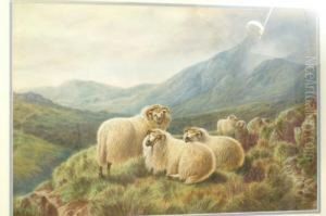 Horned Mountain Sheep, Resting by William Perring Hollyer