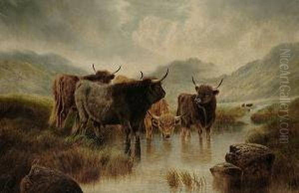 Moorland Rovers - view 1