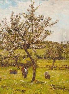 Early spring blossom by James Charles