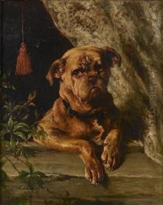 Did I Hear Cats? by George Holmes