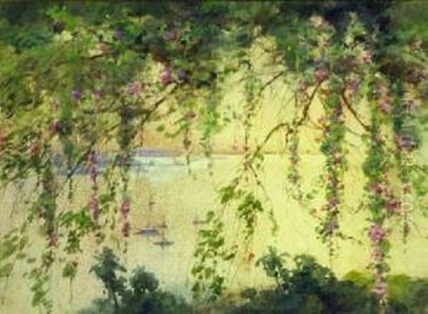 Harbor View Through Wisteria - view 1