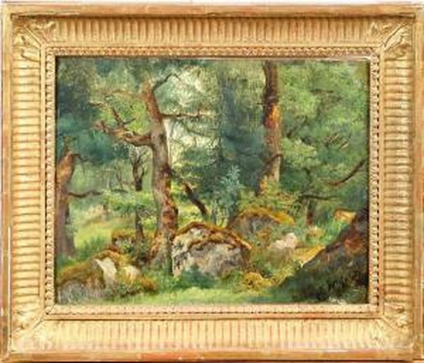 Skogsparti, Signerad J. Holmlund - view 1