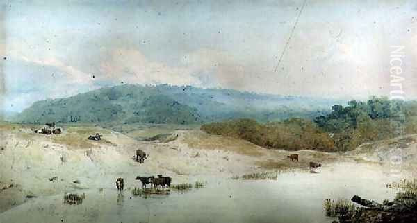 View in Yorkshire, River and Cattle - view 1