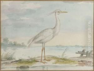 A White Heron by Pieter the Younger Holsteyn