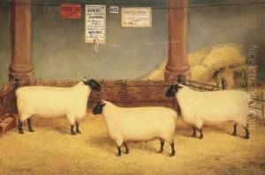 The Marquis Of Bristol's Prize Winning Suffolk Sheep by Edwin Frederick Holt