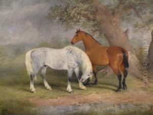 Dapple Grey And Chestnut Horses In A Landscape Signed And Dated 189 18 X 24in Dapple Grey And Chestnut Horses In A Landscape Signed And Dated 189 18 X 24in