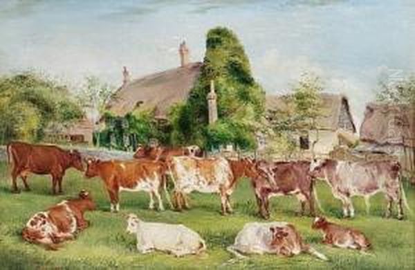Shorthorn Cattle In A Landscape With Farm Buildings Beyond - view 1