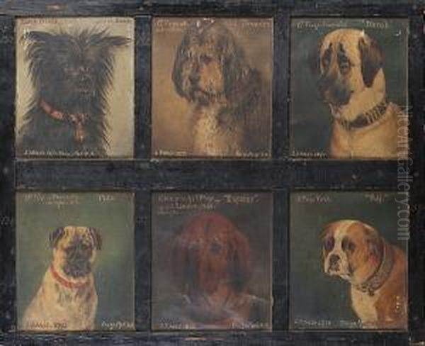 Twelve Dogs Comprising: 'black 
Prince', Scotch Terrier; 'old Thunder'; 'norah'; 'max'; 'empress'; 
'puff'; Scotch Terrier 'tiny'; Italian Greyhound 'fly'; Mount St. 
Berrnard 'waldo'; Dandie Dinmont 'crafty'; King Charles Spaniel 
'prince'; Dandie Di - view 1