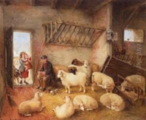 Feeding The Sheep