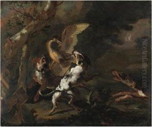 Scena Con Cani Che Cacciano Un Uccello Scena Con Cani Che Cacciano Un Uccello