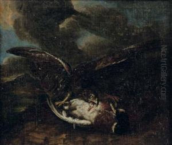 A Bird Of Prey Attacking A Duck - view 1