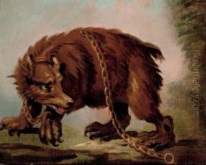 Brown Bear