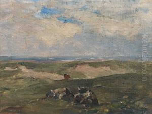 Landscape, Malahide Co. Dublin - view 1