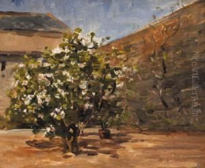 Rha Study: Tree In Courtyard