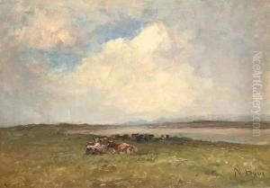 Baldoyle Estuary