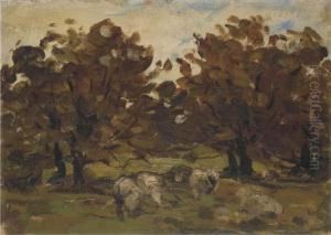 Sheep Under Trees
