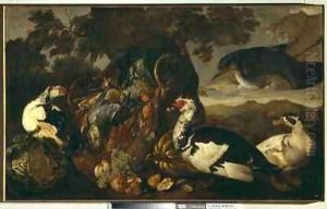 Still life and marsh birds by David de Coninck