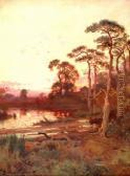 Evening Light - view 1
