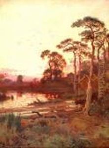 Evening Light