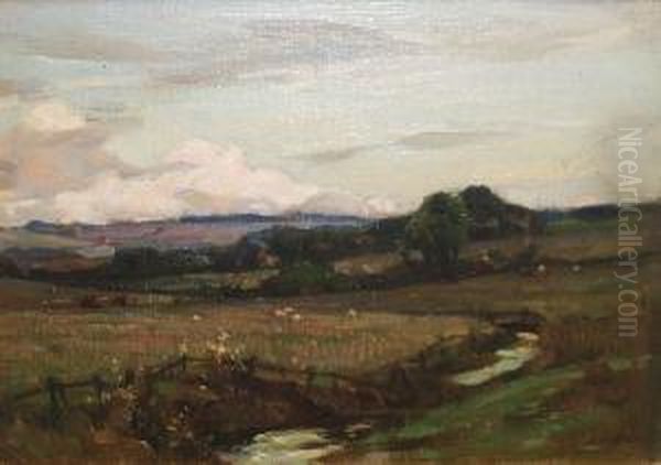 East Lothian - view 1