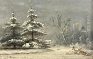 Snow Covered Pine Trees