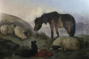 Highland Sheep No.3 by George W. Horlor