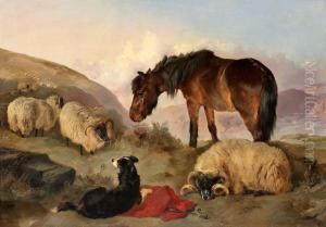 Highland Sheep by George W. Horlor
