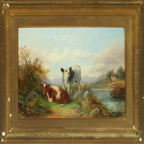 Mountainlandscape With Calves - view 1