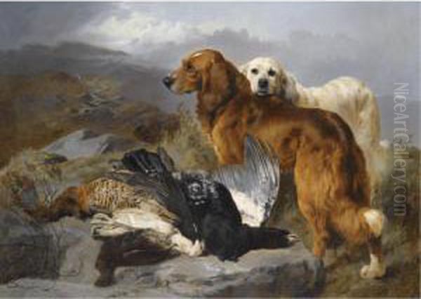 A Retriever And Setter With Capercaillie, Ptarmigan And Grouse - view 1