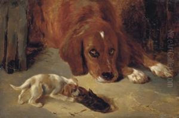 A Watchful Eye - view 1