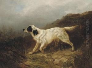 A Setter by George W. Horlor
