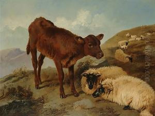 A Calf And Sheep In A Landscape - view 1