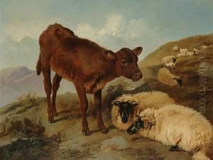 A Calf And Sheep In A Landscape