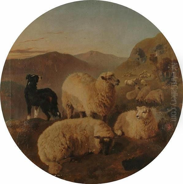 Sheep In A Mountain Landscape - view 1
