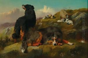 Bernese Mountain Dogs On Guard Over Their Flock by George W. Horlor