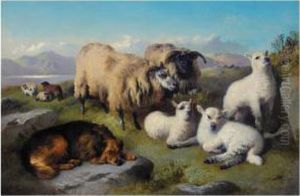Sheep And Sheepdog In A Landscape