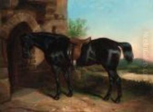 A Dark Brown Hunter Tethered Outside A Stable